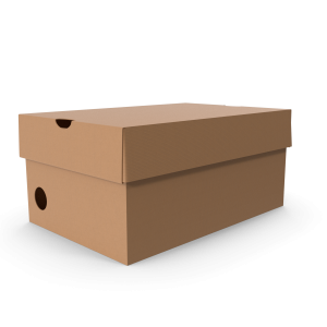 Cardboard Box Small.H03.2k