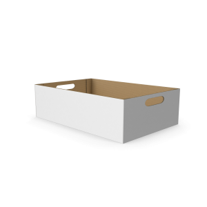 Cardboard Box.H03.2k (1)