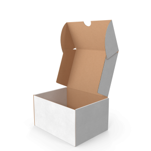 Cardboard Box.H03.2k
