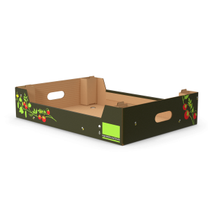 Cardboard Fruit Tray Box with Print.H03.2k