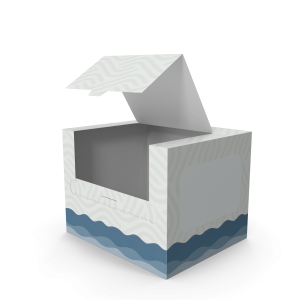 Mockup Paper Towel Box Empty.H03.2k